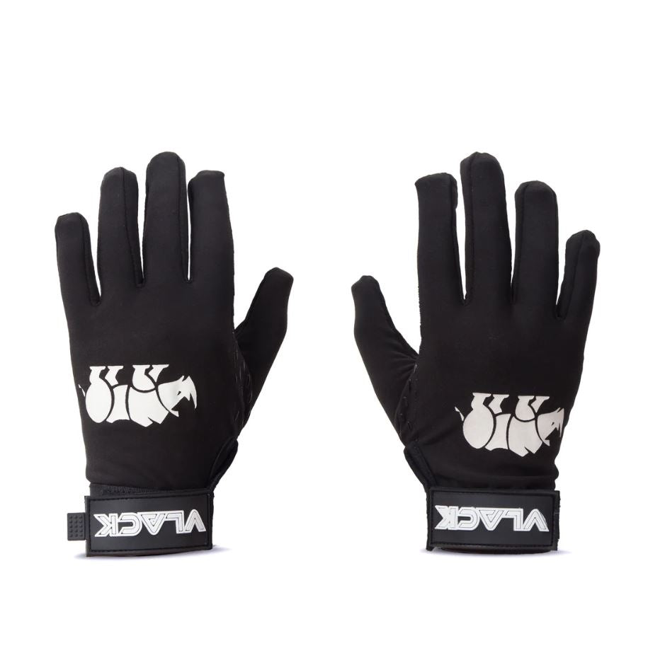 Winter Gloves